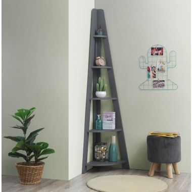 Corner ladder bookcase